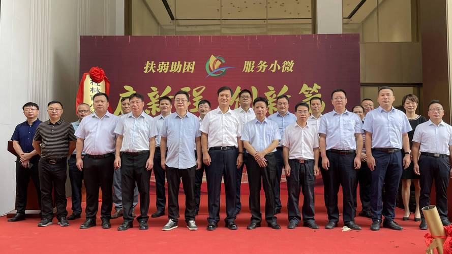 扶弱助困服务小微,桂林小微企业融资担保进驻高新区启新程创新篇
