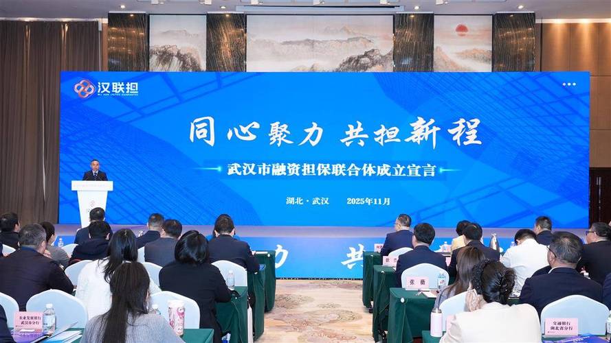 武汉市融资担保联合体正式揭牌
